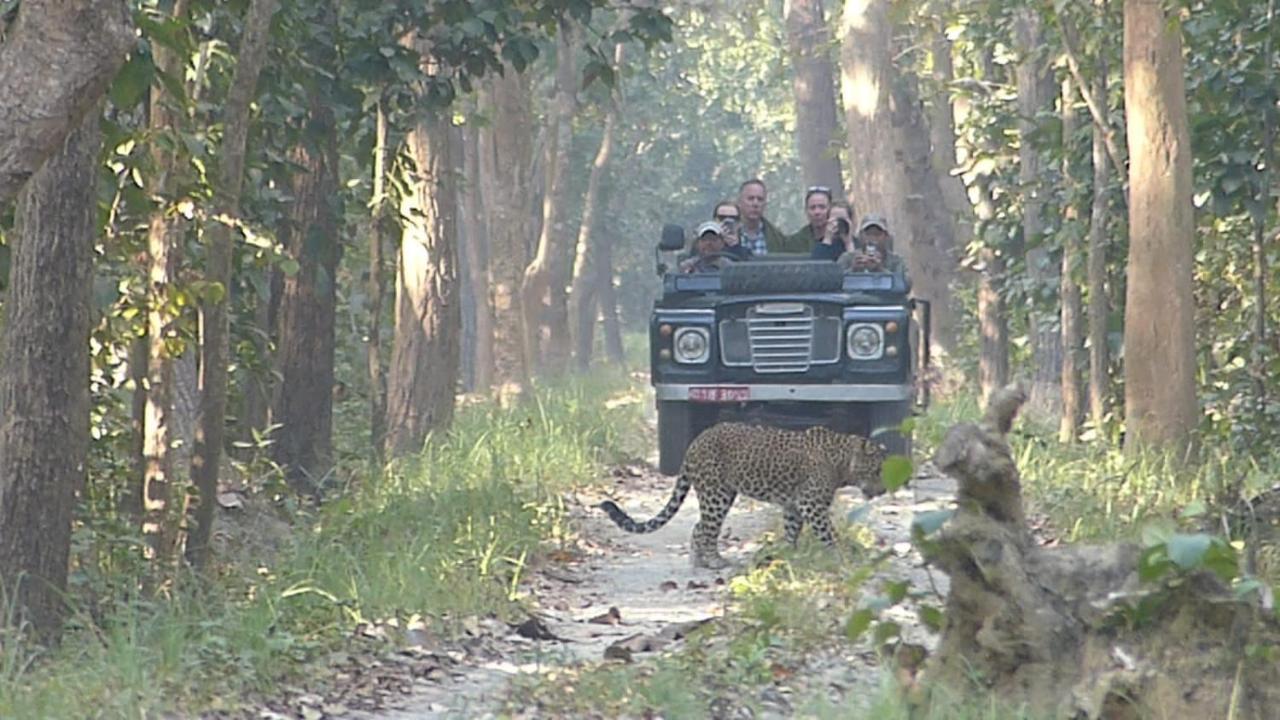 Tiger Tops Karnali Lodge Bardiya Eksteriør bilde
