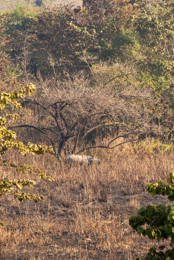 Tiger Tops Karnali Lodge Bardiya Eksteriør bilde