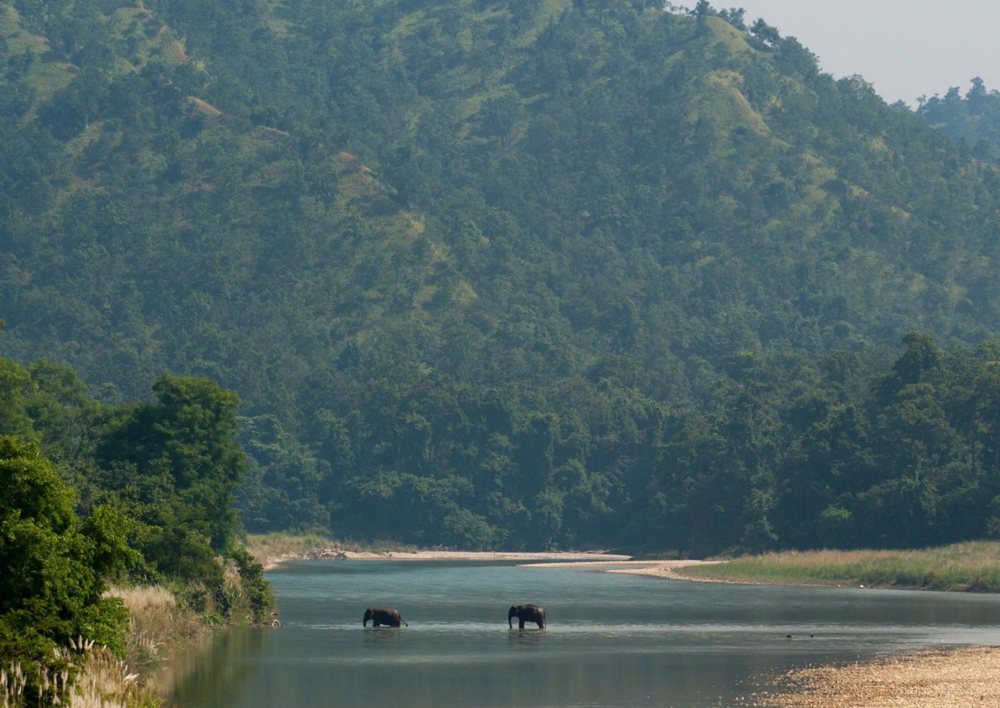 Tiger Tops Karnali Lodge Bardiya Eksteriør bilde